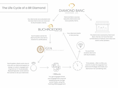 The Lifecycle Of A Buchroeders Diamond