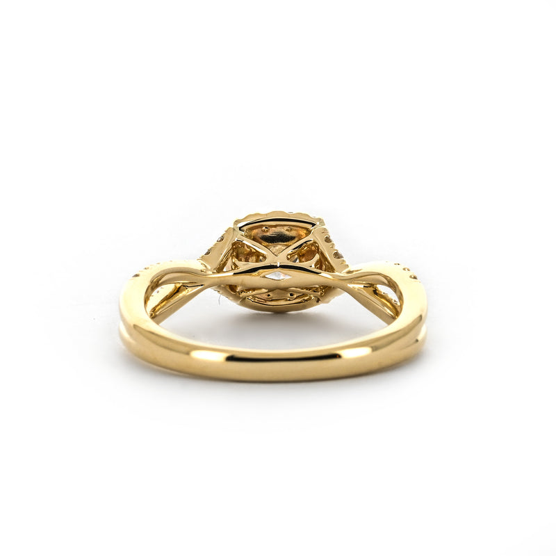 0.71ctw Diamond Engagement Ring + Halo Twist