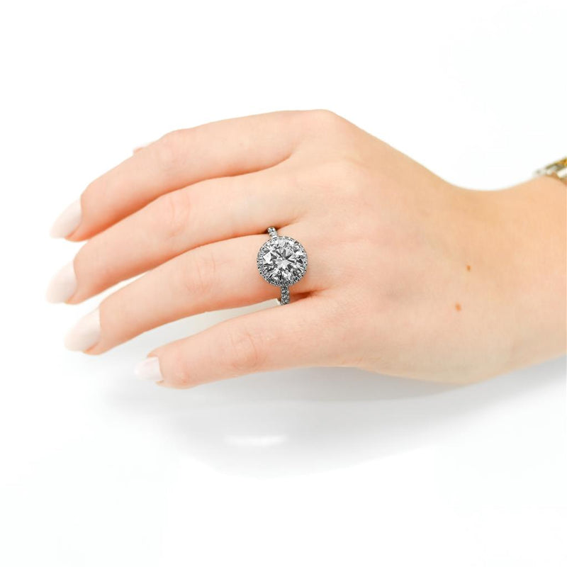 3.45CTW Round Engagement Ring - Halo  - 950 Platinum